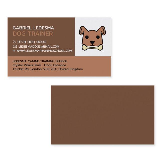 Brown Dog, Dog Trainer
