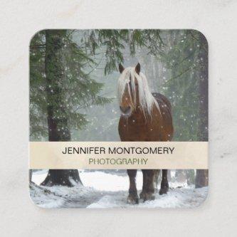 Brown Horse in a Winter Forest with Snow Falling Square