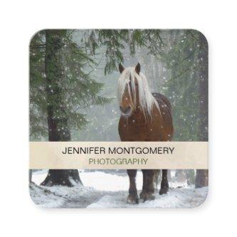 Brown Horse in a Winter Forest with Snow Falling Square