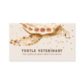 Brown Loggerhead Sea Ocean Turtle Caretta