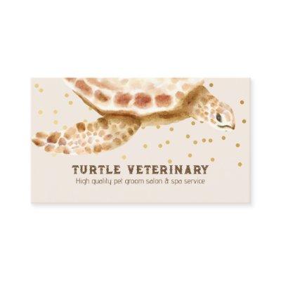 Brown Loggerhead Sea Ocean Turtle Caretta