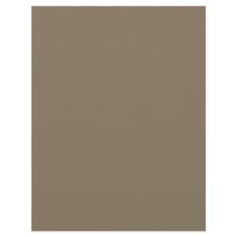 Brownish Grey (solid color)  Letterhead