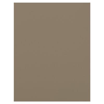 Brownish Grey (solid color)  Letterhead