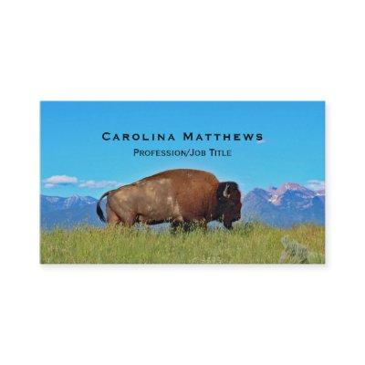 Buffalo