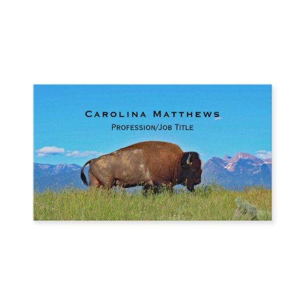 Buffalo