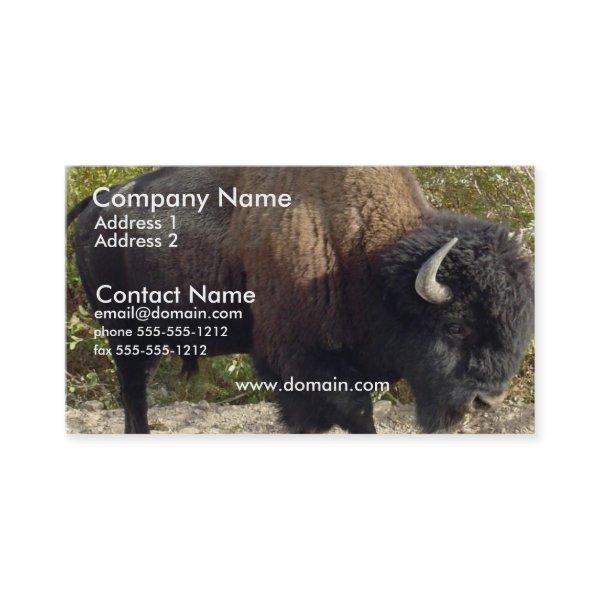 Buffalo