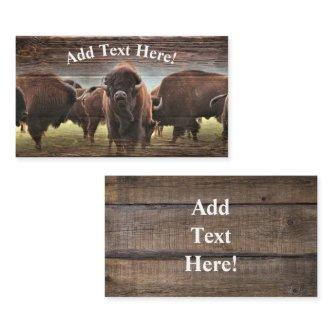 Buffalo Herd