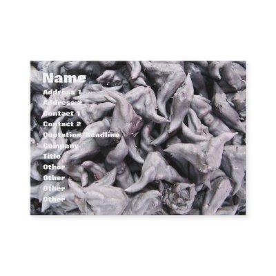 Buffalo Nuts - Water Caltrop
