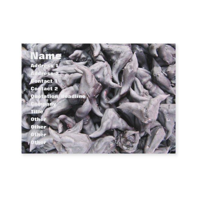 Buffalo Nuts - Water Caltrop