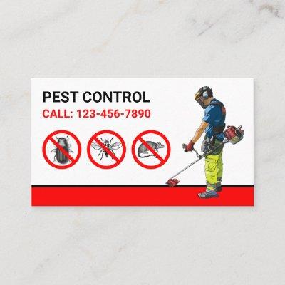 Bugs Removal Professional Pest Control Service