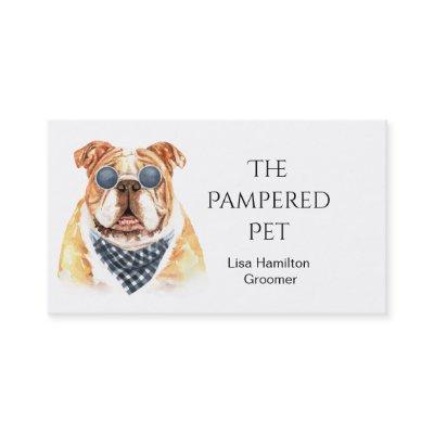 Bull Dog Pet Groomer/Vet/Sitters