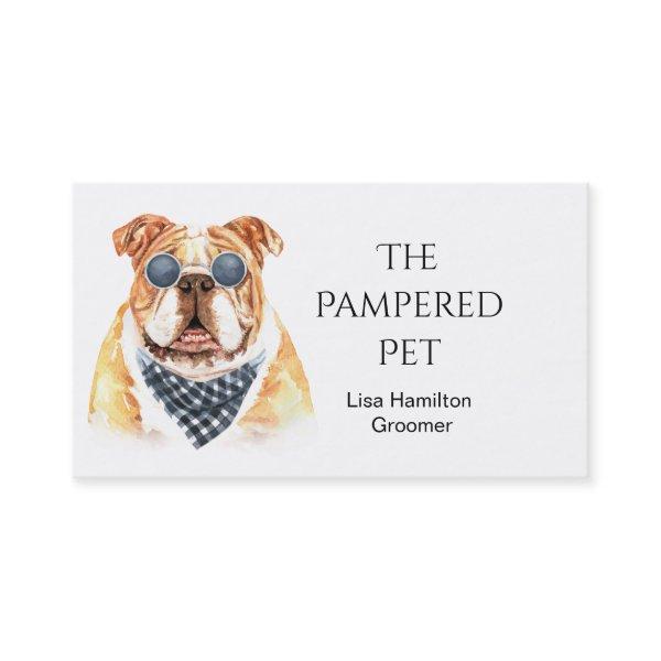 Bull Dog Pet Groomer/Vet/Sitters