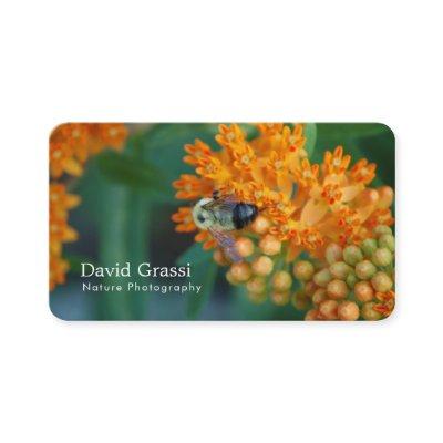 Bumblebee  (Nature) Photographer