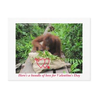 Bundle of Love for Valentine's Day Holiday Postcard