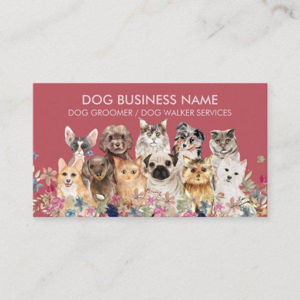 Burgundy Dogs Cats pet grooming sitting boarding