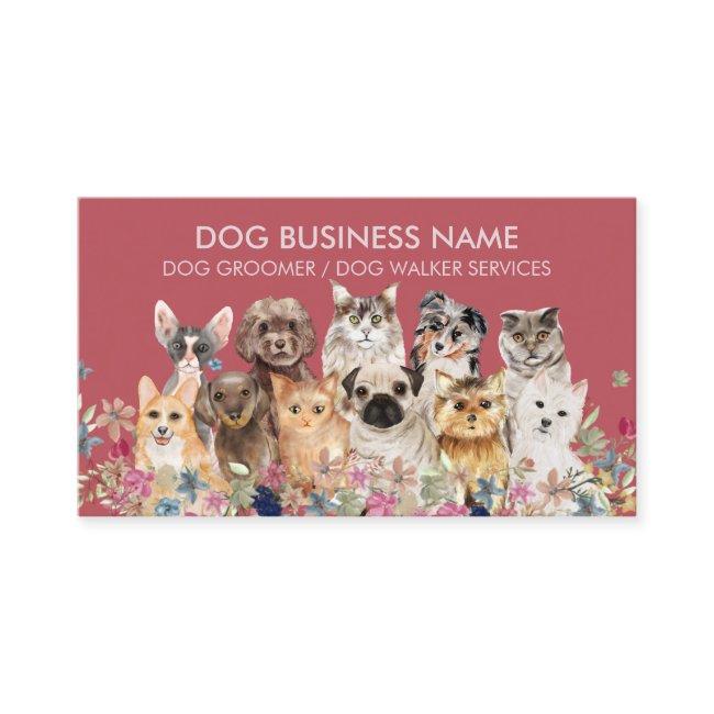 Burgundy Dogs Cats pet grooming sitting boarding