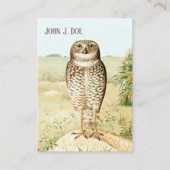 Burrowing Owl 2-Sided  for Birders