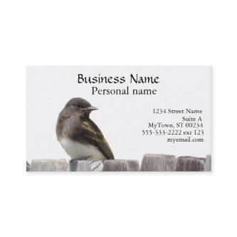 Bus. Card - Bird on Fence