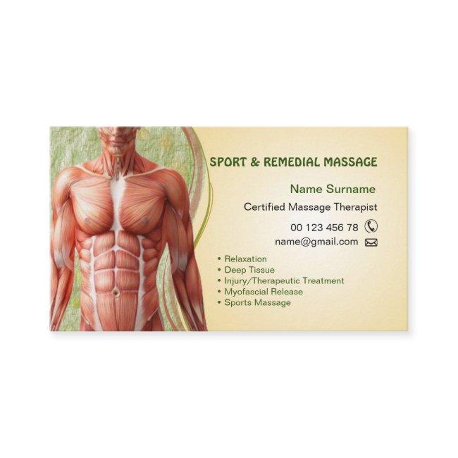 for Massage Therapist