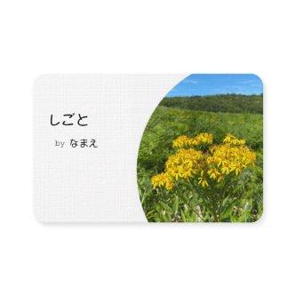 Photo Can be Replaced