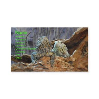with two curious lizards