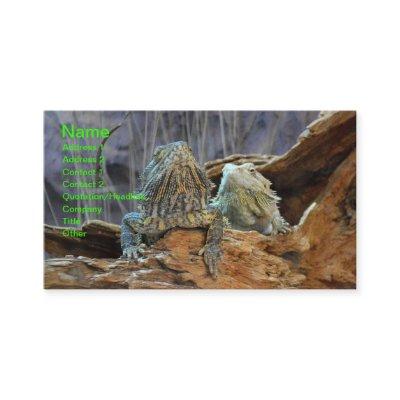 with two curious lizards
