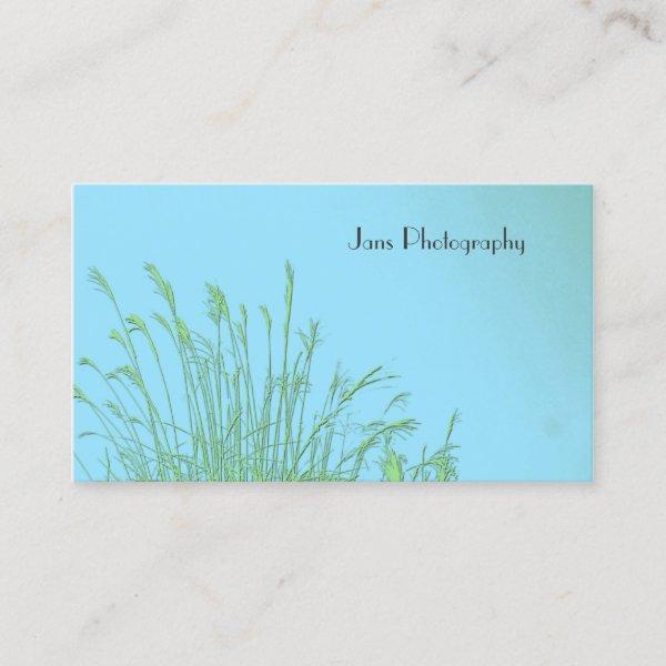 Businesscards template, weed grass