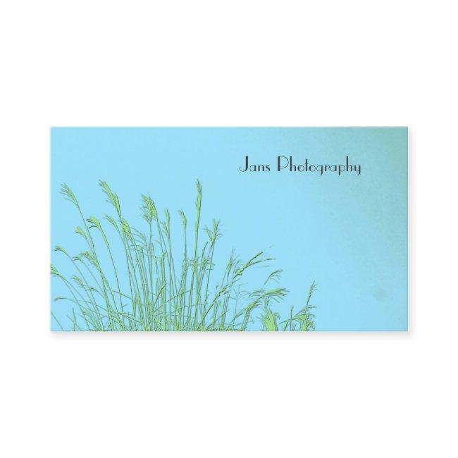Businesscards template, weed grass