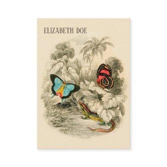 Butterflies in Tropical Forest - Nature Writer