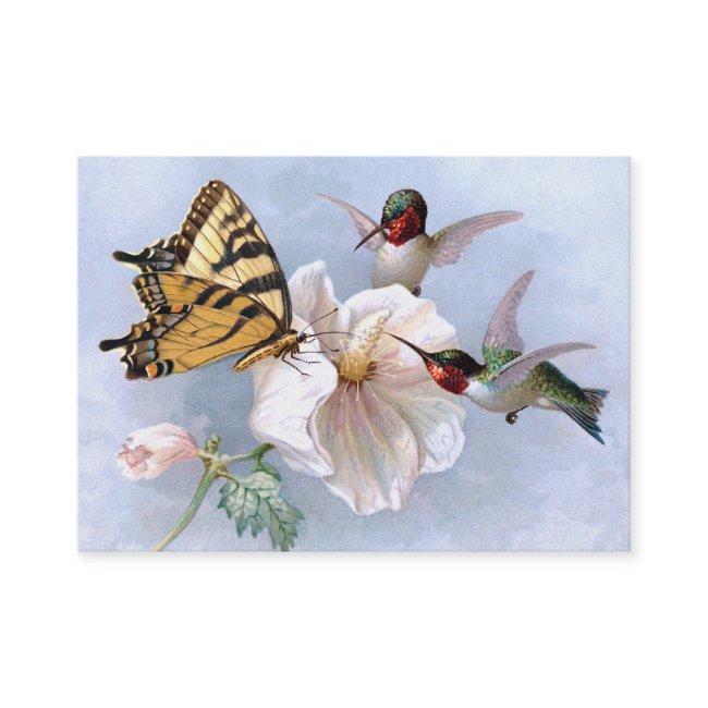Butterfly and Hummingbirds
