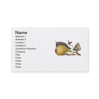 Butterfly Bee Fruit Insect Illustration