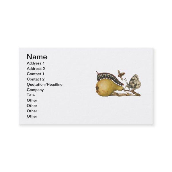 Butterfly Bee Fruit Insect Illustration