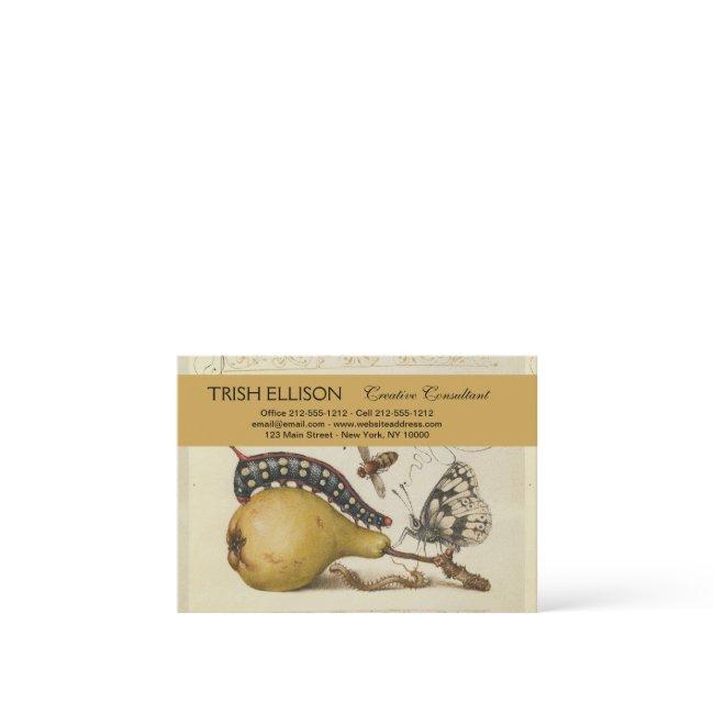 Butterfly Bee Fruit Insect Illustration