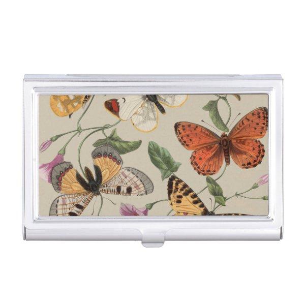 Butterfly Moth Nature Collection Drawing  Case