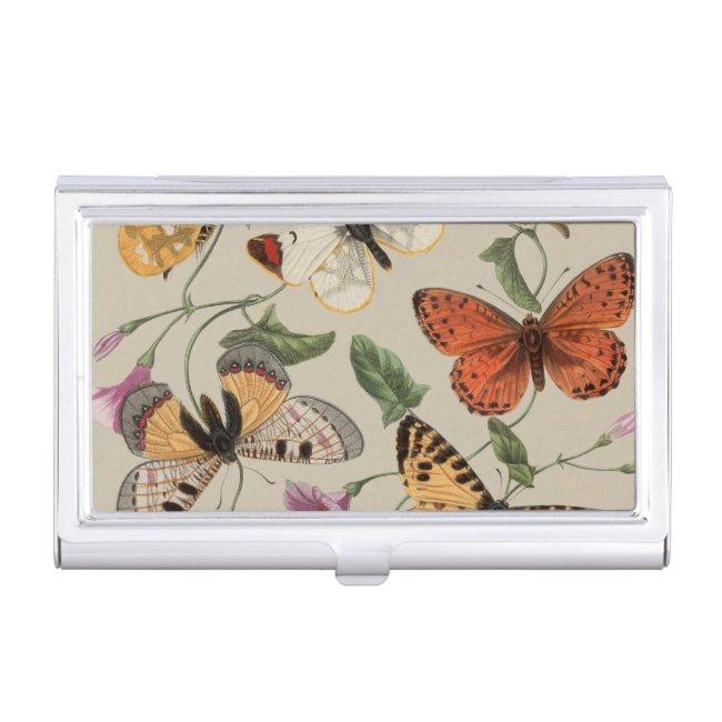 Butterfly Moth Nature Collection Drawing  Case