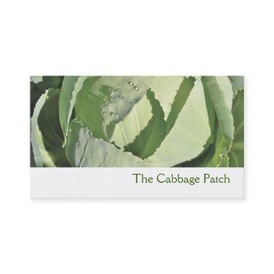 Cabbage
