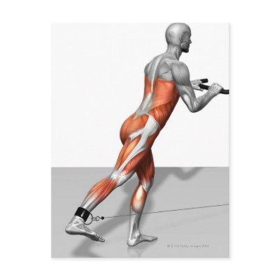 Cable Skater Exercise Postcard