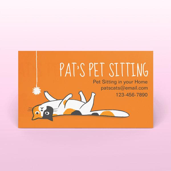 Calico Cat Pet Sitting | Funny Cat | Animal Care