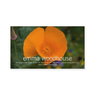 California Poppy