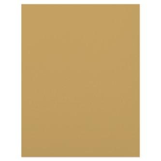 Camel-  shade of brown (solid color)  letterhead