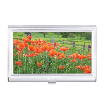Canada, New Brunswick, . Landscape  Case