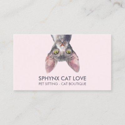 Canadian Sphynx Cat