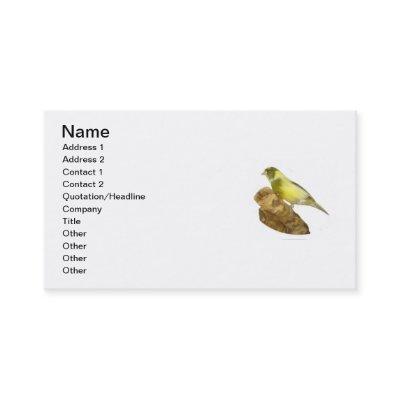 Canary Breeder's