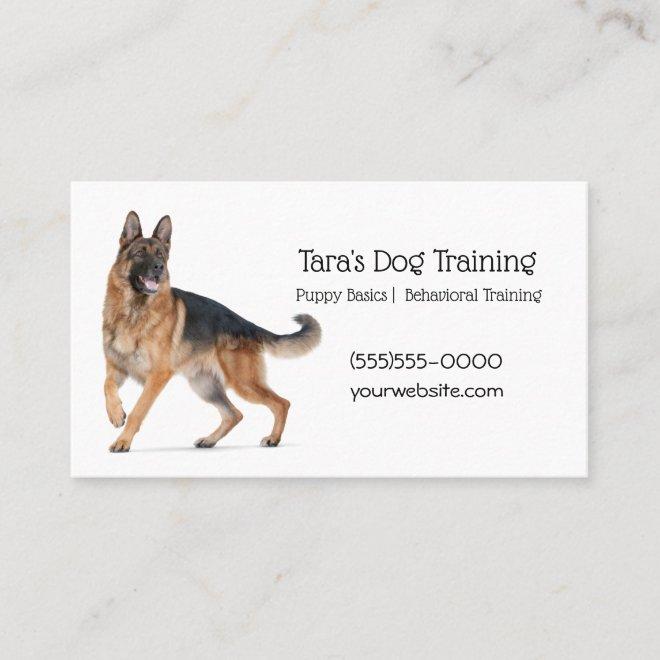 Canine Dog Training Pet
