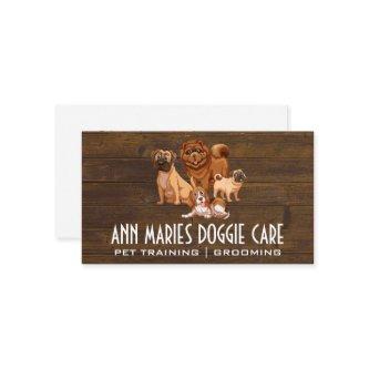 Canine Pack | Doggie Training and Care