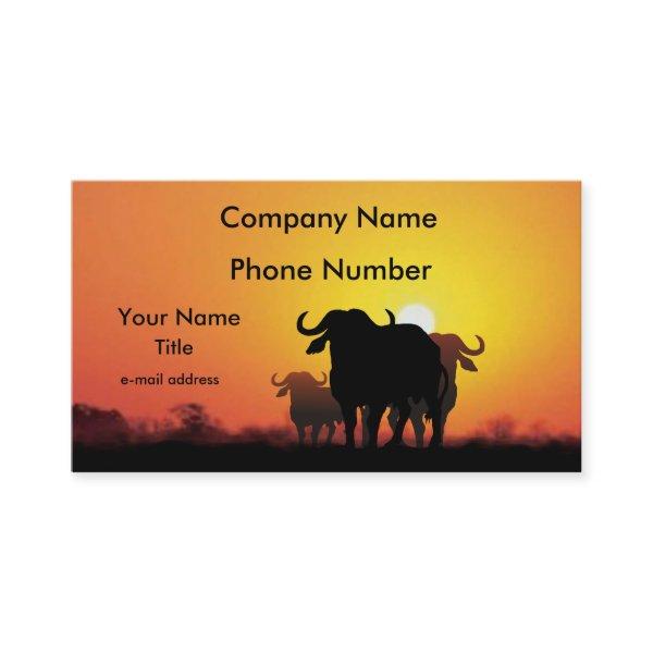 Cape Buffalo