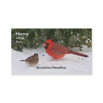 Cardinal with Sparrow