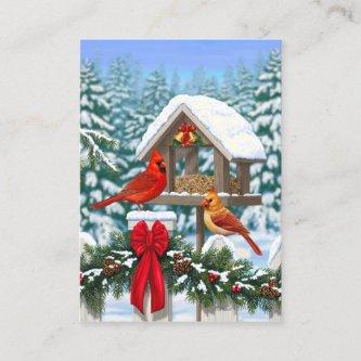 Cardinals and Christmas Bird Feeder