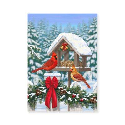 Cardinals and Christmas Bird Feeder