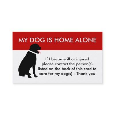 Care For My Dog Emergency Information Calling Card